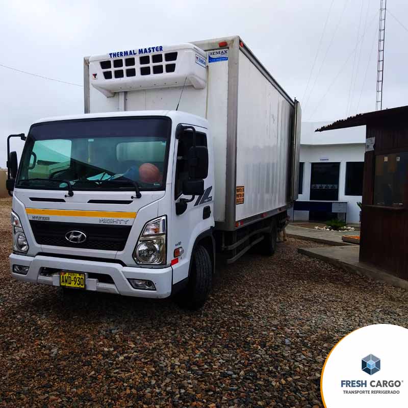 servicio de carga en chincha